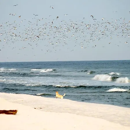 Lejlighed White Pearl 2.14 *